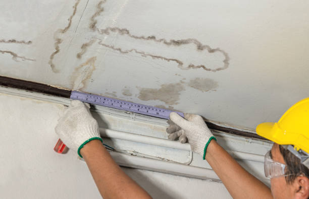 Reliable Structural Drying contractor in Concord, MI by Water Damage Irwin